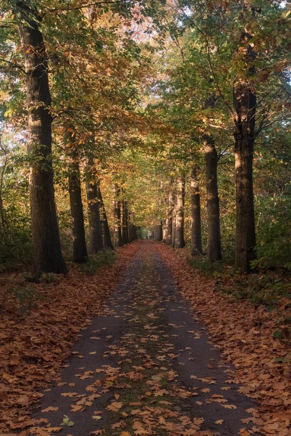 Villa Parkbos De Pinte Dış mekan fotoğraf